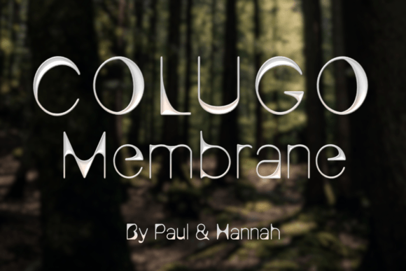 Colugo Membrane: A Font That Flies