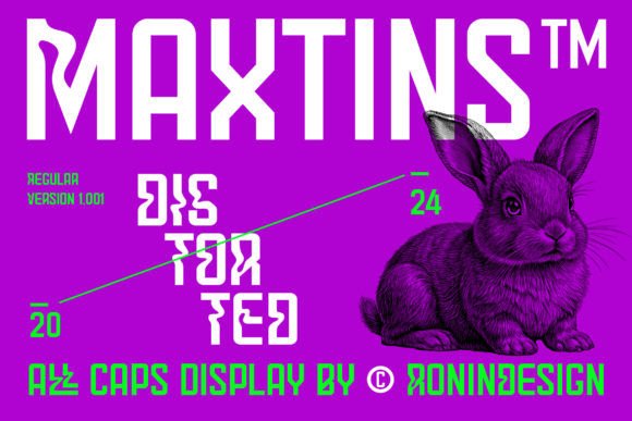 Maxtins: The Bold Font That Commands Attention in Digital Marketing