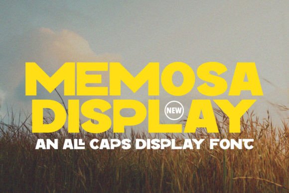 Memosa: A Display Font That Brings Warmth and Presence to Editorial Design